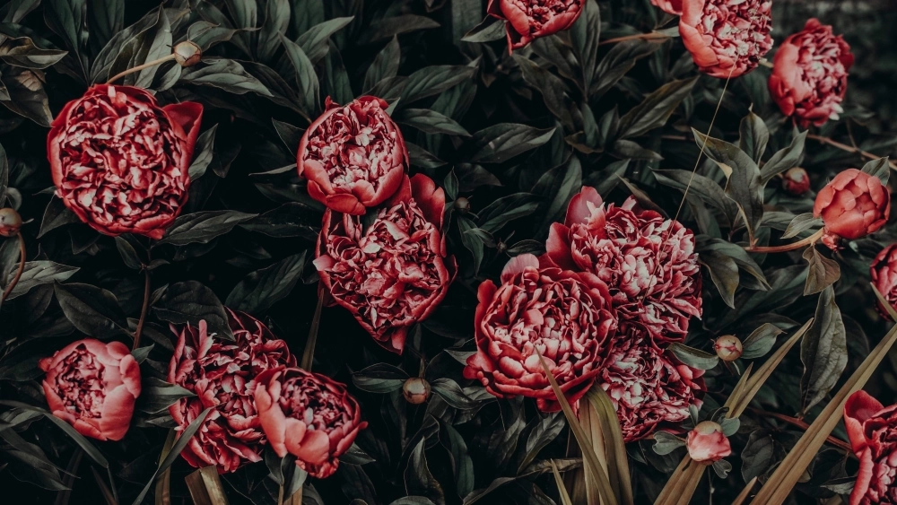 Thưởng ngoạn tranh phong cảnh mùa xuân rực rỡ màu sắc thiên nhiên