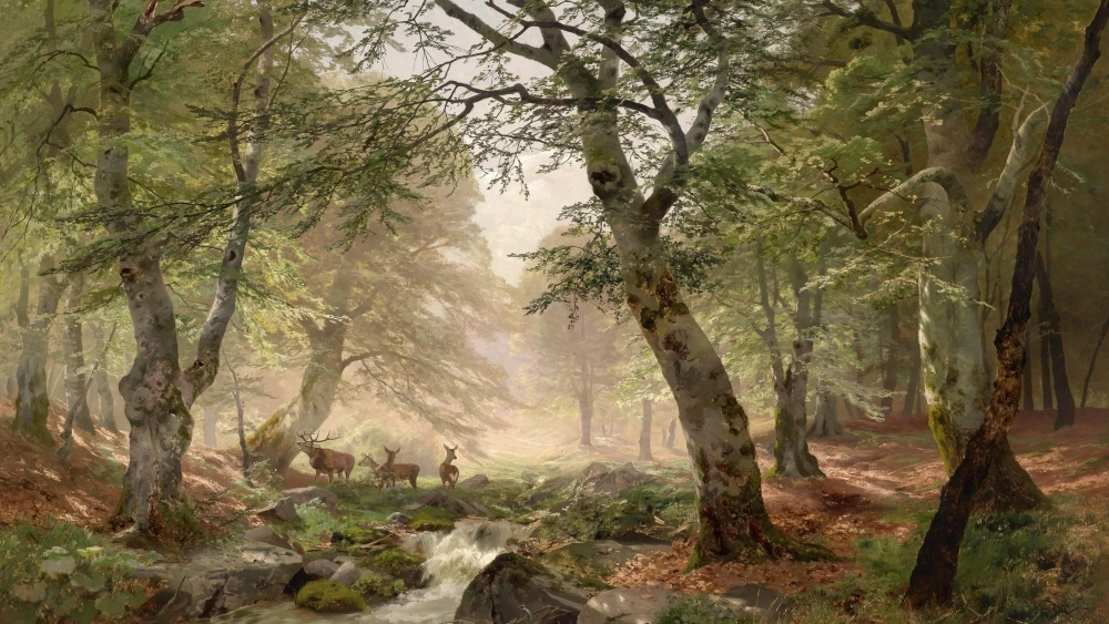 Thư giãn với ảnh thiên nhiên đẹp tuyệt vời