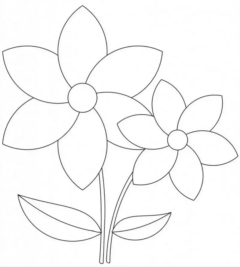 Khám phá tranh tô màu bông hoa 6 cánh cho giờ học vẽ thú vị