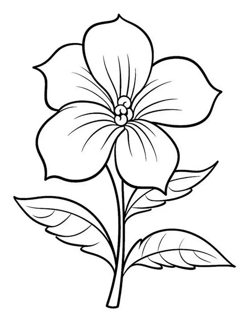 Tranh tô màu bông hoa 5 cánh mang đến niềm vui sáng tạo cho bé