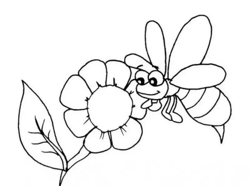 Vui học màu sắc với tranh tô màu bông hoa đơn giản cho bé