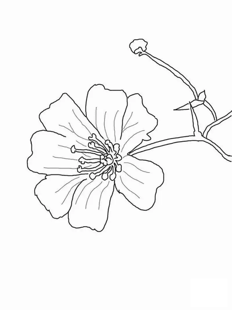 Bé yêu sẽ thích tranh tô màu bông hoa cho bé dễ thương và sinh động