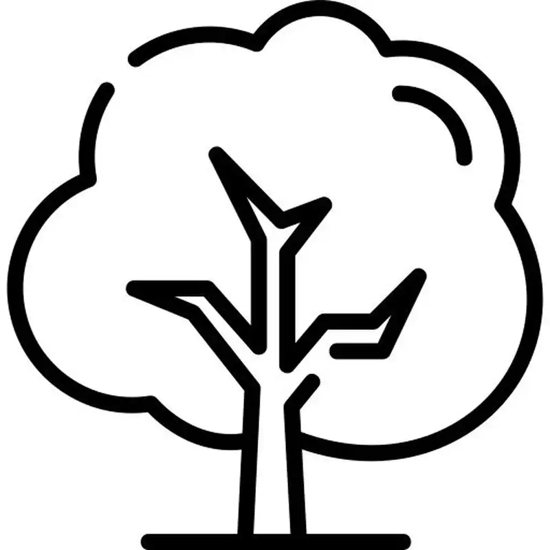 Bé vui học cùng tranh tô màu cây xanh cho bé đầy màu sắc