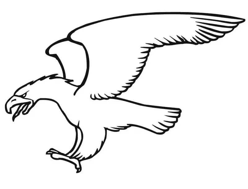 Tranh tô màu chim đại bàng là như thế nào