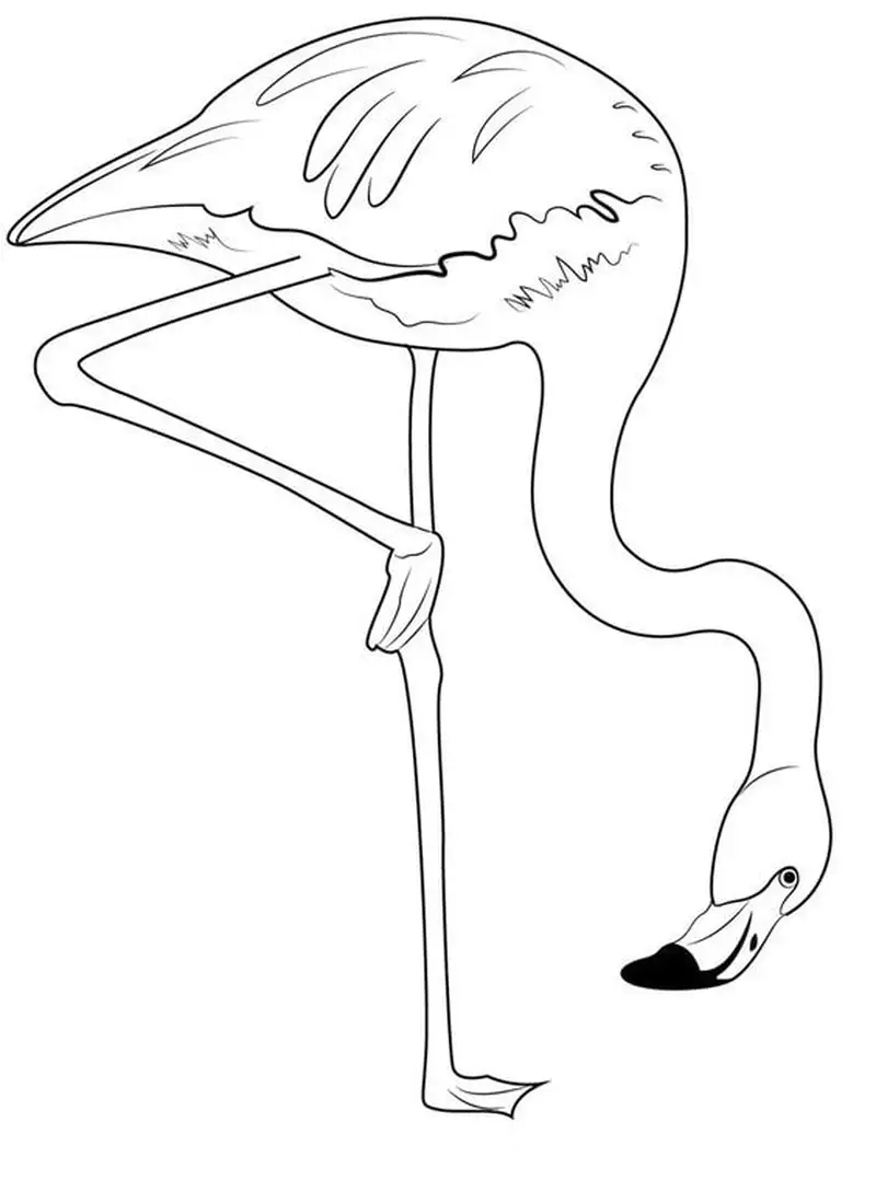 Thỏa sức tô với tranh tô màu chim hồng hạc dễ thương cho bé