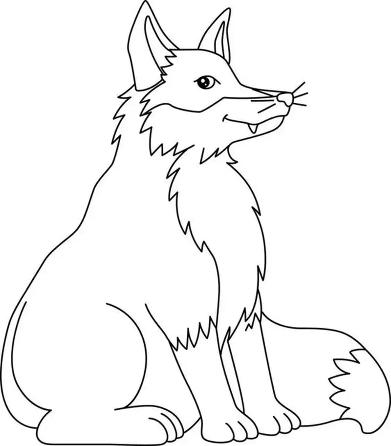 Tranh tô màu con cáo là như thế nào