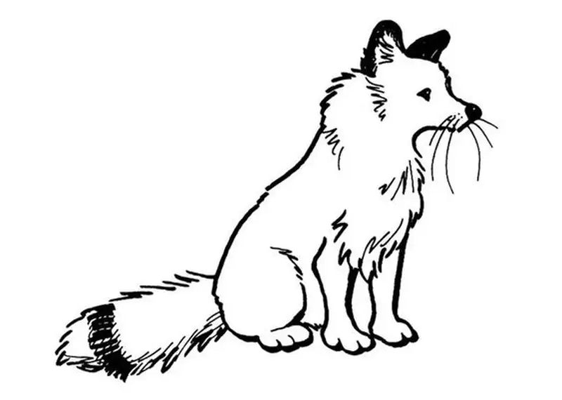 Thử tài tô màu với tranh tô màu con cáo cute đáng yêu cho bé