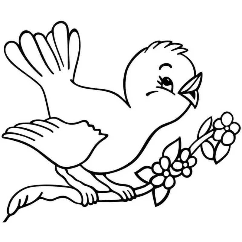 Khơi dậy trí tưởng tượng với hình con chim cho bé tô màu