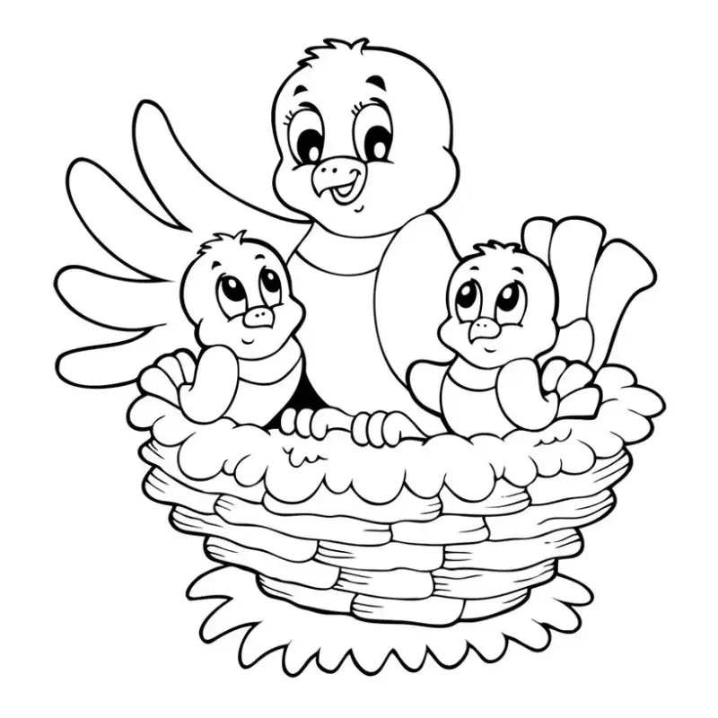 Bé thỏa sức sáng tạo với bé tô màu con chim