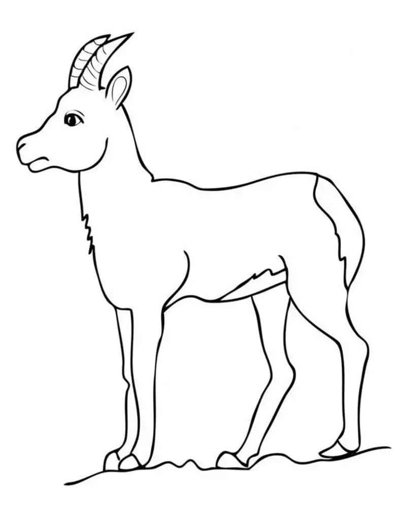 Thỏa sức sáng tạo cùng hình vẽ con dê ngộ nghĩnh đáng yêu