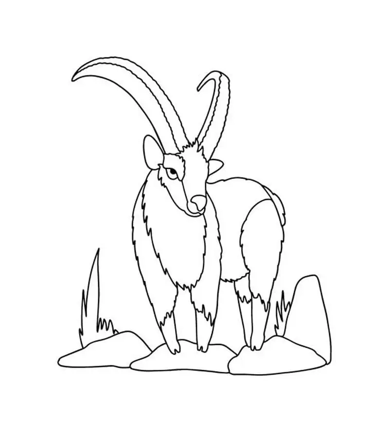 Khám phá tô màu hình con dê sáng tạo giúp bé phát triển trí tưởng tượng