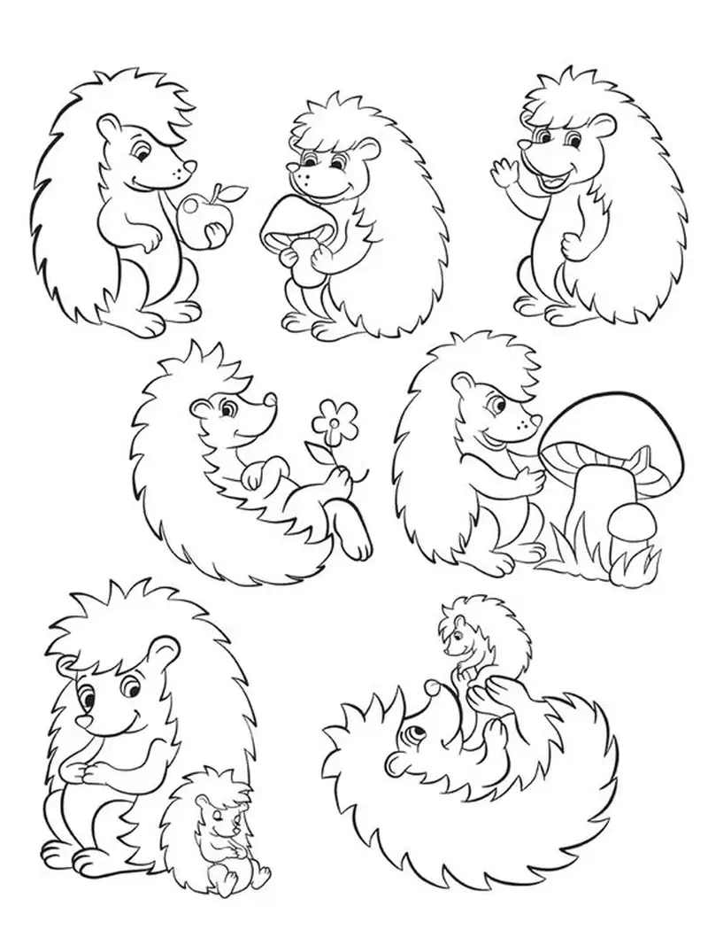 Tranh tô màu con nhím là như thế nào