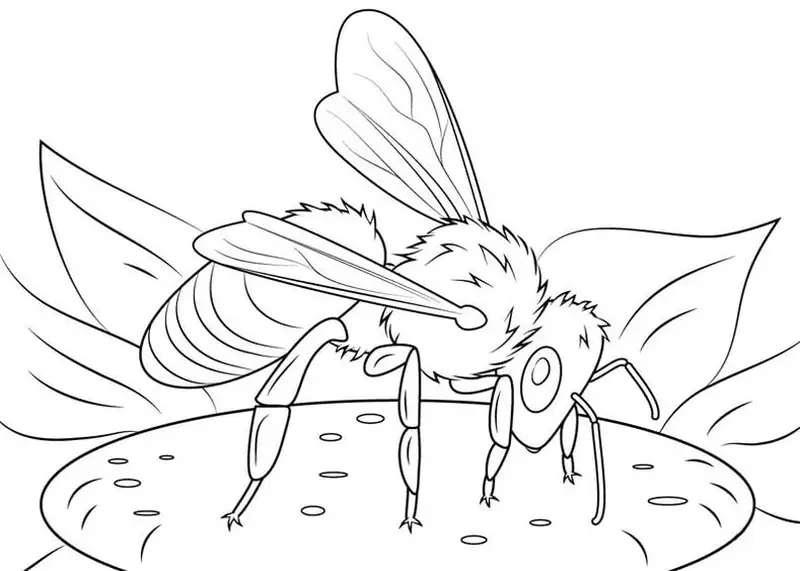 Thỏa sức sáng tạo cùng con ong tô màu dễ thương