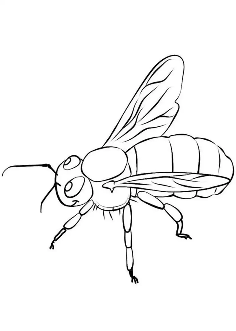 Bé yêu sẽ thích tranh tô màu con ong dễ thương xinh xắn