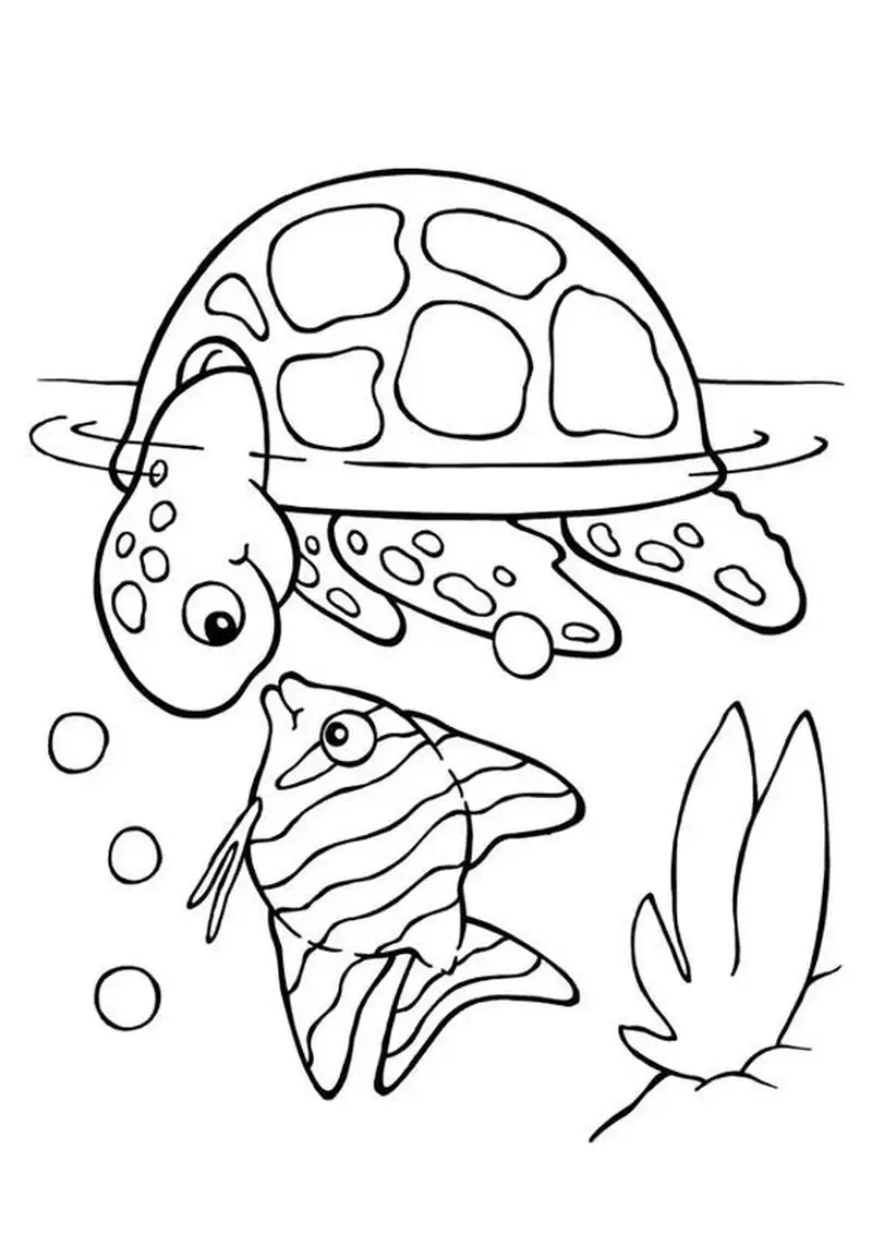 Khám phá bộ sưu tập hình tô màu con rùa hấp dẫnKhám phá bộ sưu tập hình tô màu con rùa hấp dẫn