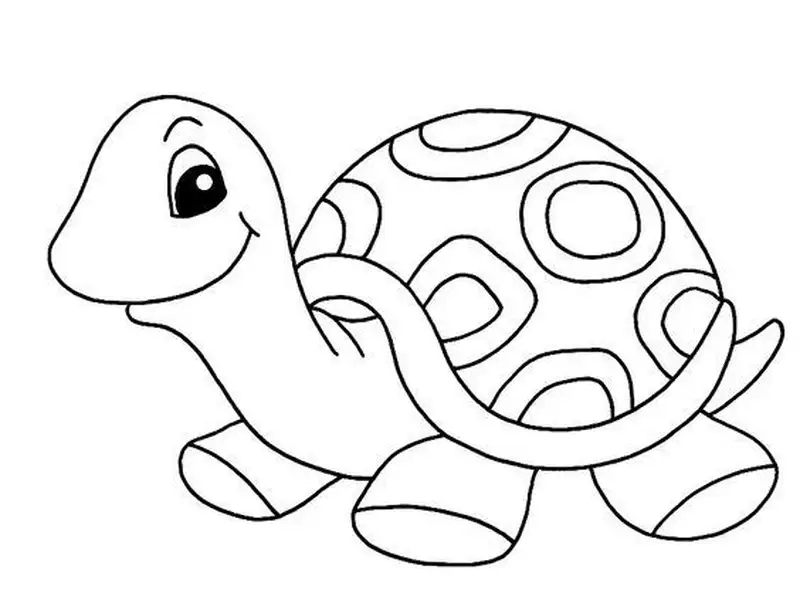 Thỏa sức sáng tạo với tô màu con rùa đầy màu sắc