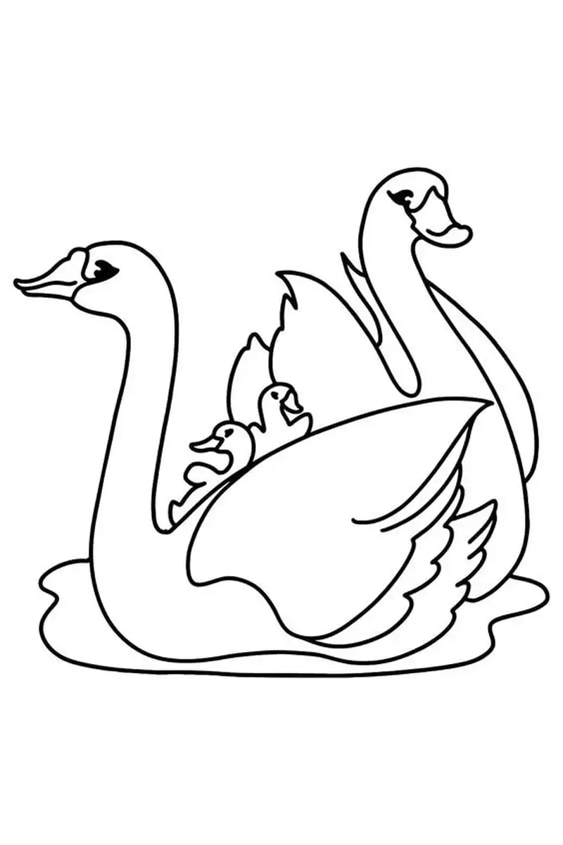 Tải về mẫu tranh tô màu con thiên nga miễn phí ngay