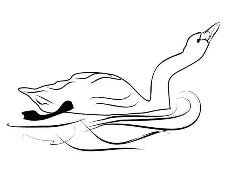 Học tập vui nhộn cùng tranh tô màu thiên nga mầm non