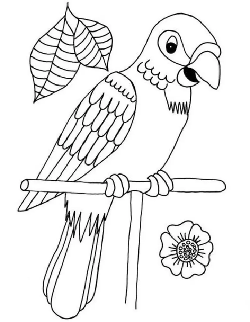 Tranh tô màu con vẹt Nam Mỹ Macaw sắc màu sống động