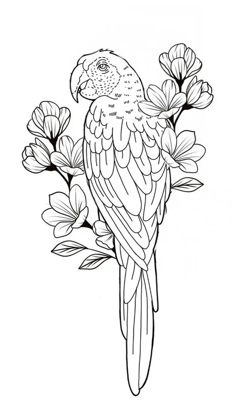 Tranh tô màu con vẹt Nam Mỹ sặc sỡ thu hút ánh nhìn