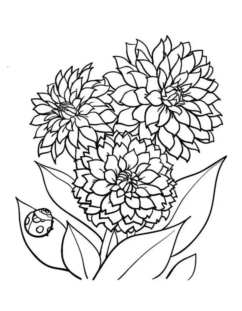 Bé yêu sẽ thích tranh tô màu hoa cúc dễ vẽ thú vị