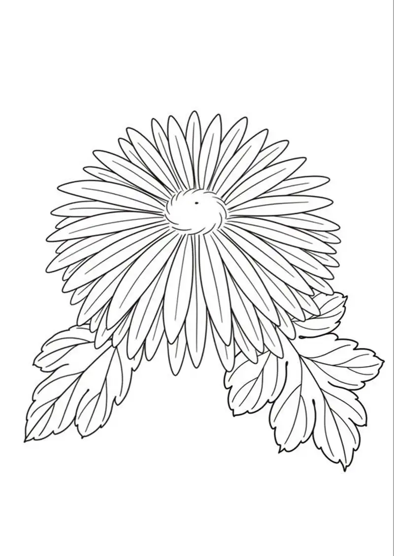 Thư giãn cùng tranh tô màu hoa cúc mandala đẹp mắt