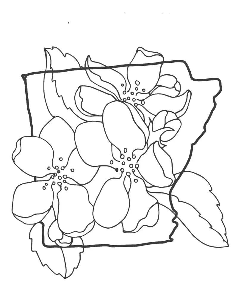 Tranh tô màu hoa đào là như thế nào?