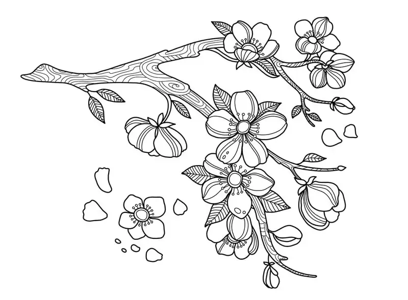 Tranh tô màu hoa đào mùa xuân tạo không khí tươi mới cho ngày xuân