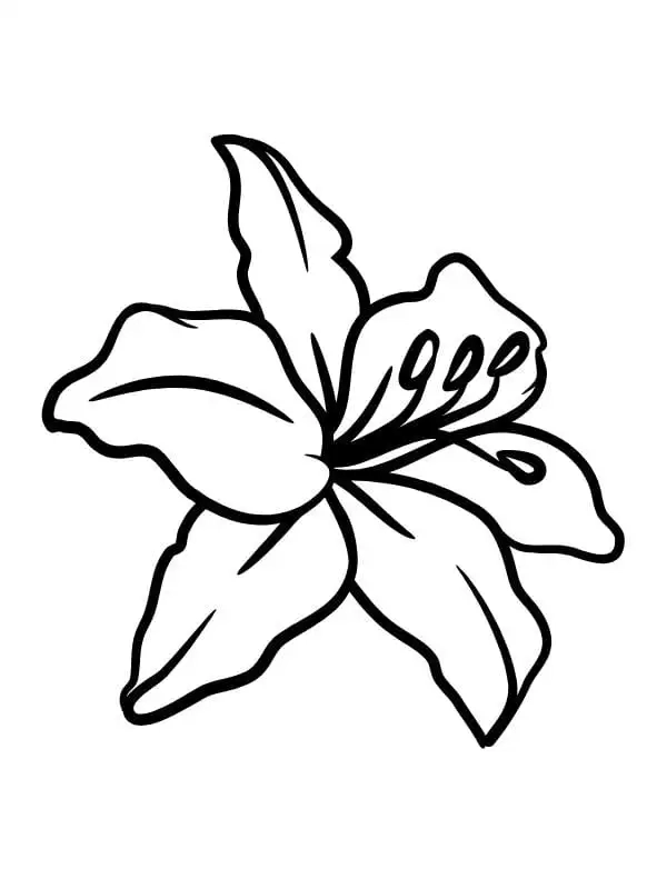 Rực rỡ tranh tô màu hoa ly vàng cho bé yêu