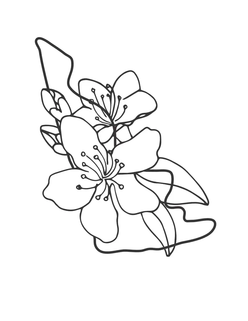 Chọn Tranh tô màu hoa mai ngày Tết rực rỡ sắc xuân