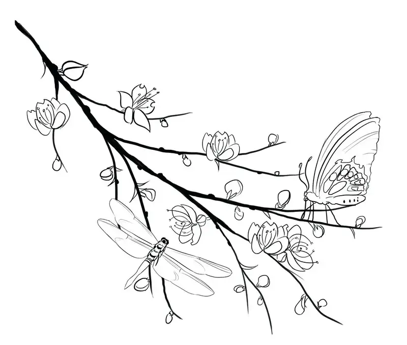 Khám phá Tranh tô màu hoa mai đơn giản cho bé yêu