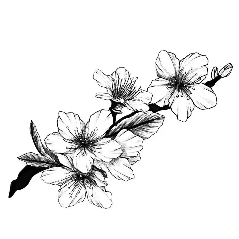 Khám phá Tranh tô màu cây hoa mai mang không khí Tết về nhà