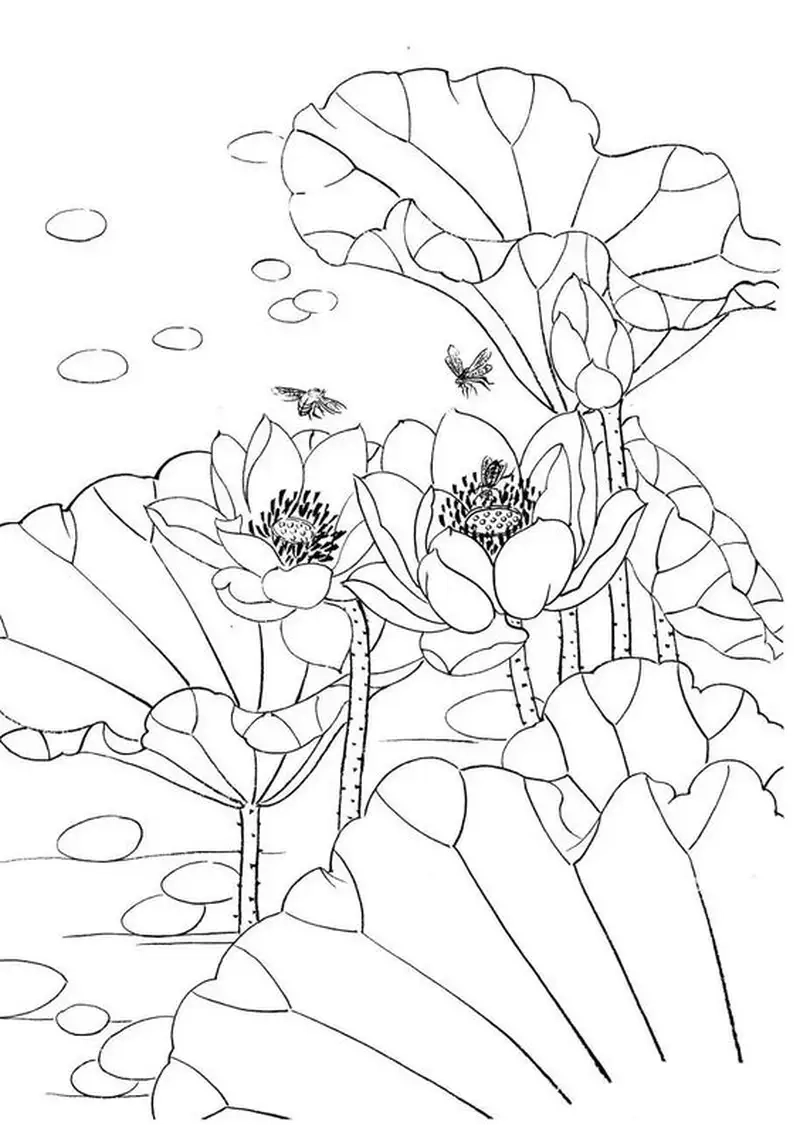 Khám phá niềm vui sáng tạo cùng tranh hoa sen tô màu