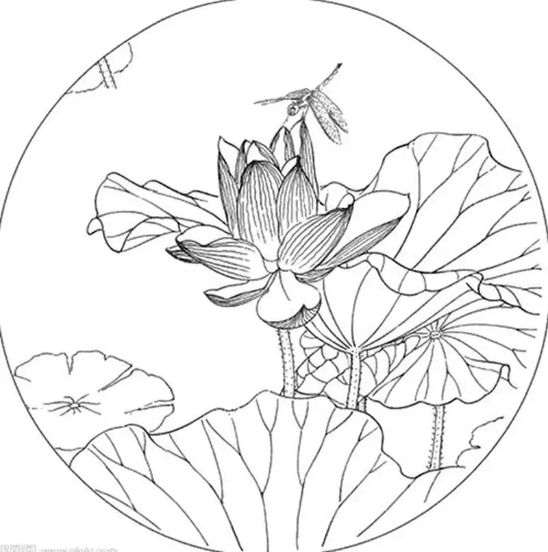 Khám phá tranh tô màu hoa sen cho bé sáng tạo và thư giãn