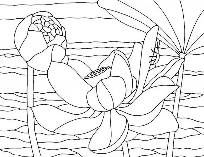 Tạo giờ học vui nhộn với tranh tô màu hoa sen cho bé