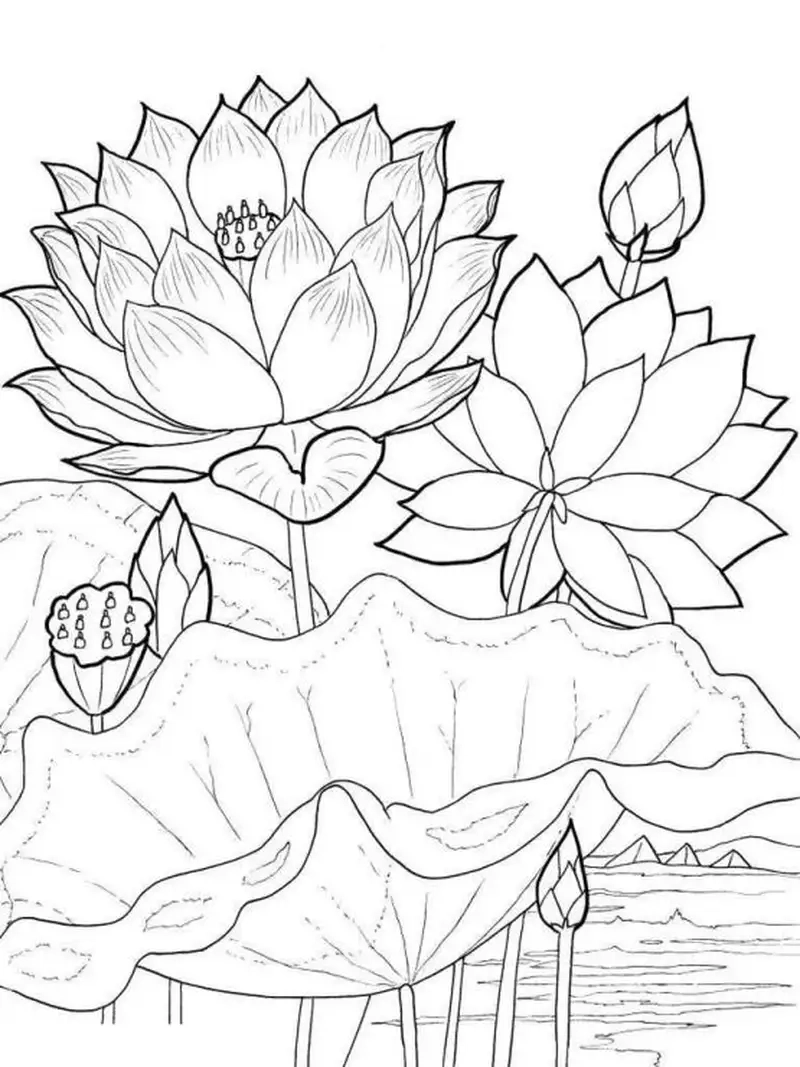 Sáng tạo nghệ thuật với tranh tô màu hoa sen đẹp độc đáo