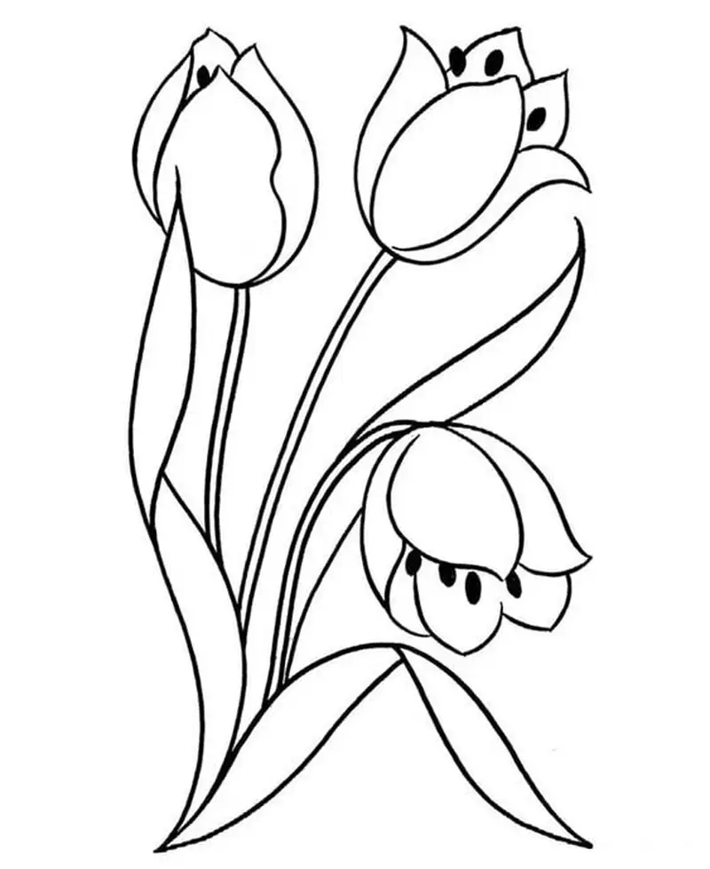 Tranh tô màu hoa tulip đơn giản dễ học cho mọi lứa tuổi