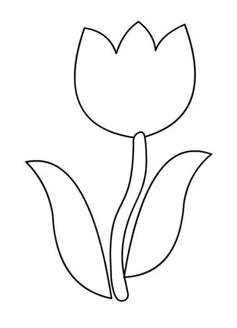 Tranh tô màu hoa tulip đẹp tạo hứng thú tô màu mỗi ngày