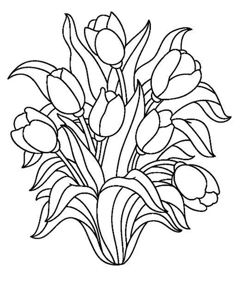 Tranh tô màu hoa tulip dễ thương xinh xắn khiến bé thích mê