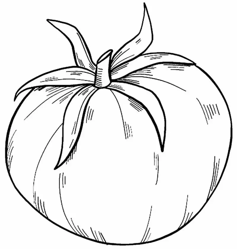 Tranh tô màu cà chua cho bé mầm non khơi gợi sự sáng tạo tự nhiên