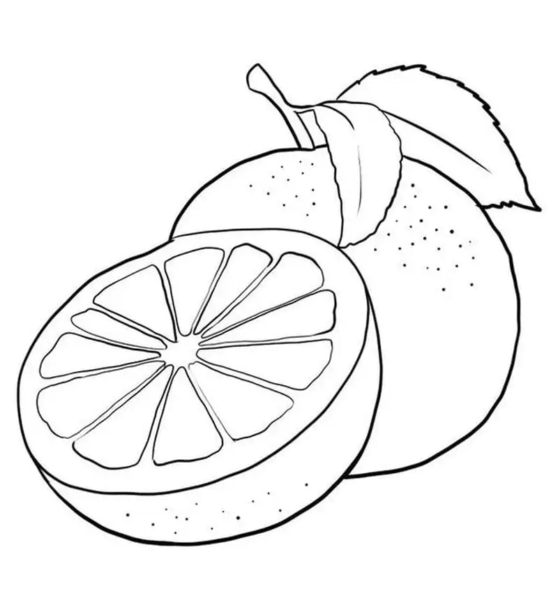 Tranh tô màu quả cam là như thế nào