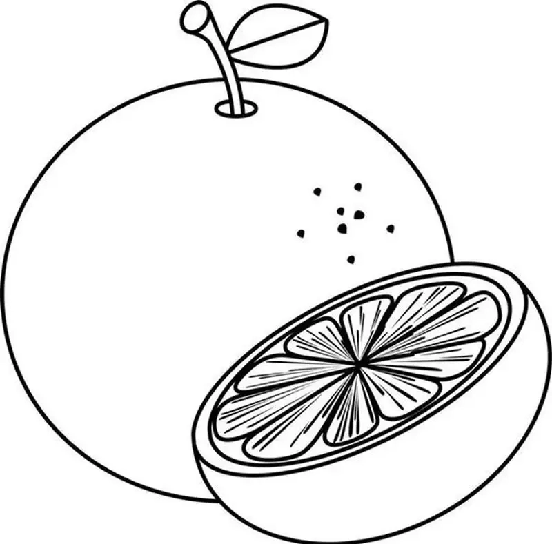 Tranh tô màu quả cam sinh động mang đến trải nghiệm tô màu thú vị