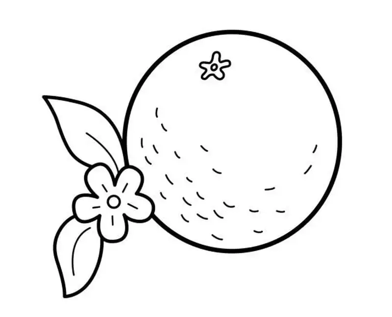 Tranh tô màu quả cam cho trẻ em giúp rèn luyện sự khéo léo và tập trung