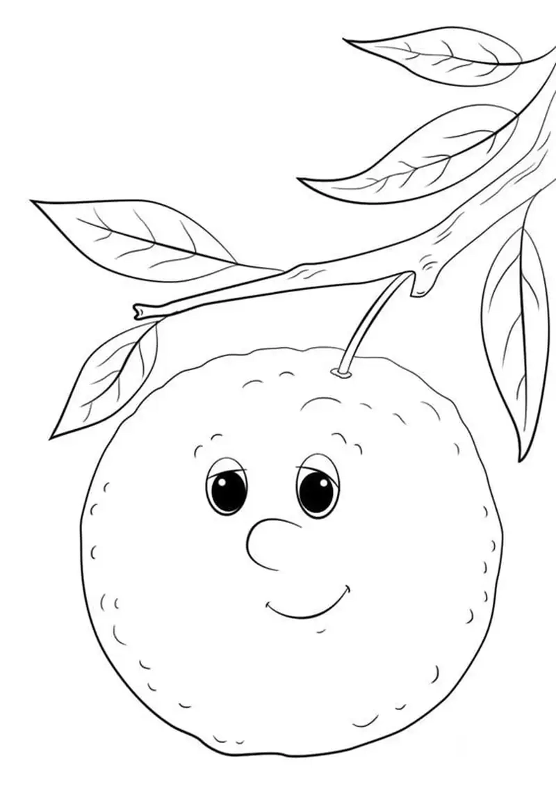 Tranh tô màu quả cam cho bé giúp bé thỏa sức sáng tạo màu sắc