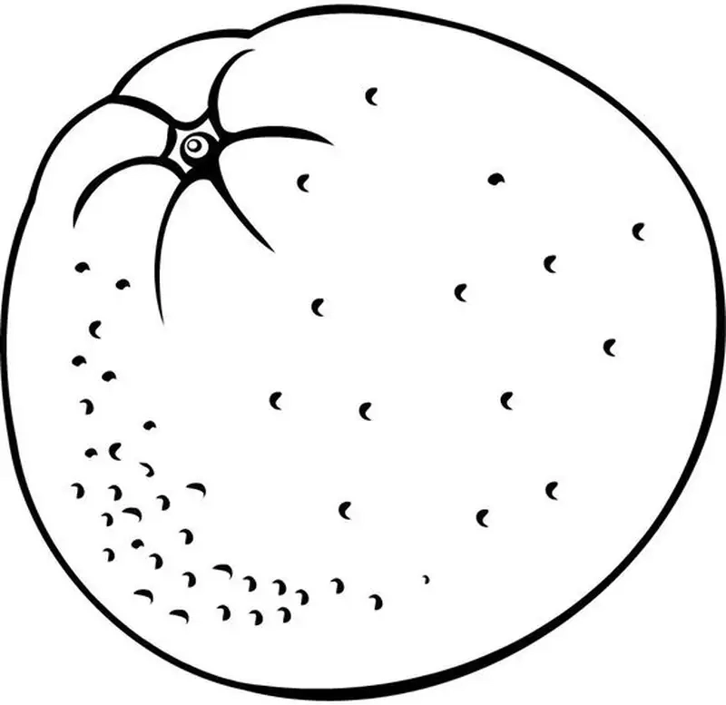 Tranh tô màu quả cam mùa hè mang đến không khí vui tươi rực rỡ