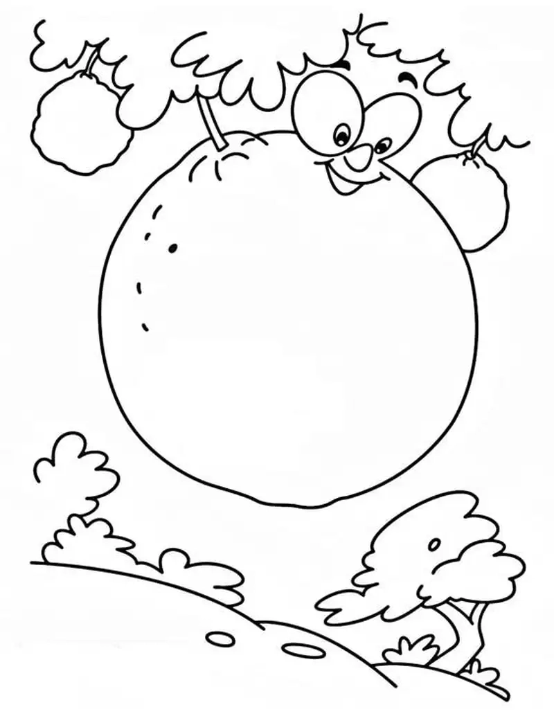 Tranh tô màu quả cam đẹp cuốn hút với màu sắc sinh động rực rỡ