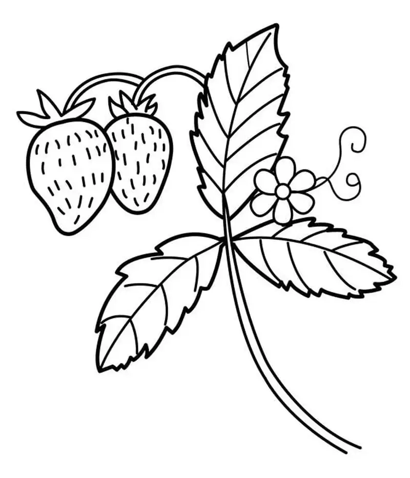 Tận hưởng phút giây sáng tạo với quả dâu tô màu đầy màu sắc