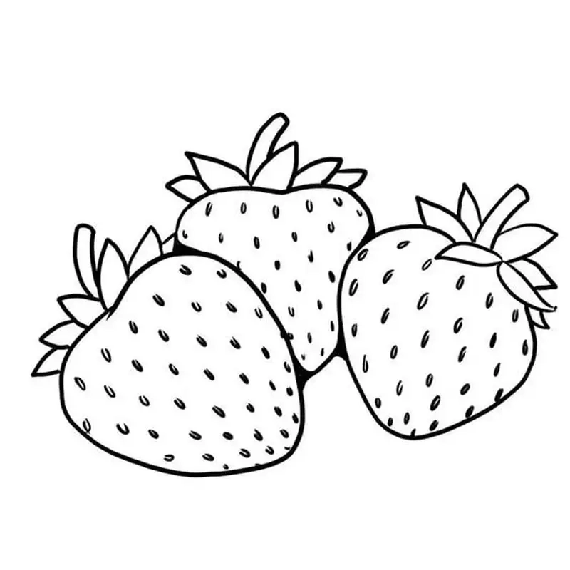 Khám phá hình ảnh quả dâu tây tô màu đẹp mắt và sinh động