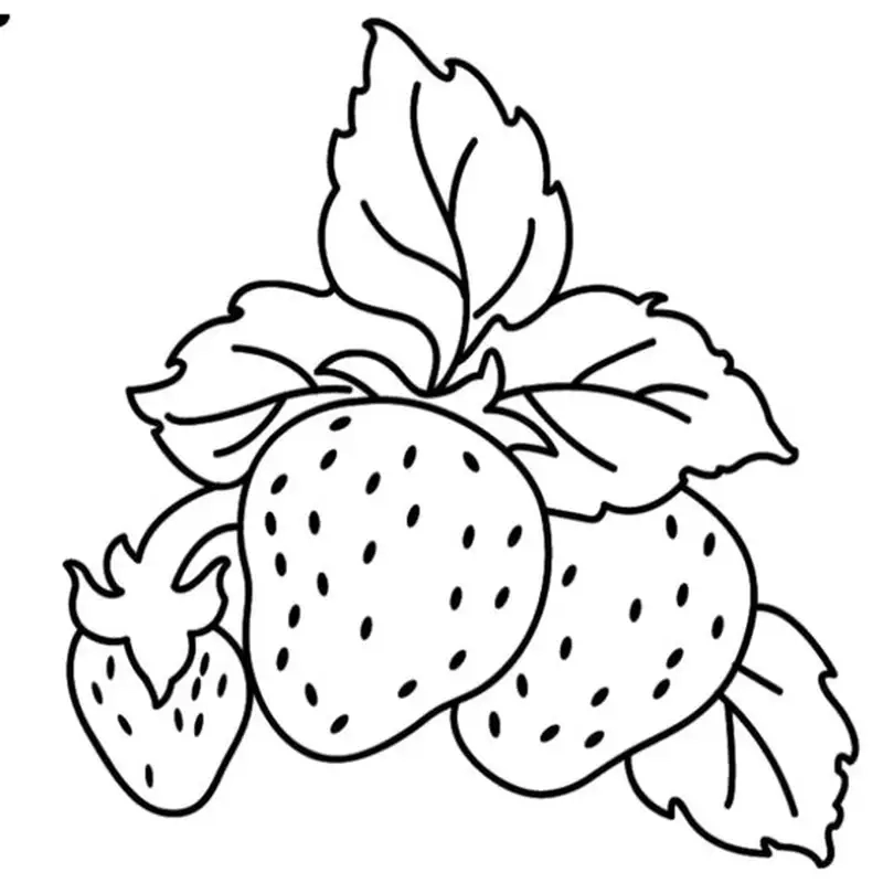 Bé vui học cùng quả dâu tây tô màu kích thích trí tưởng tượng