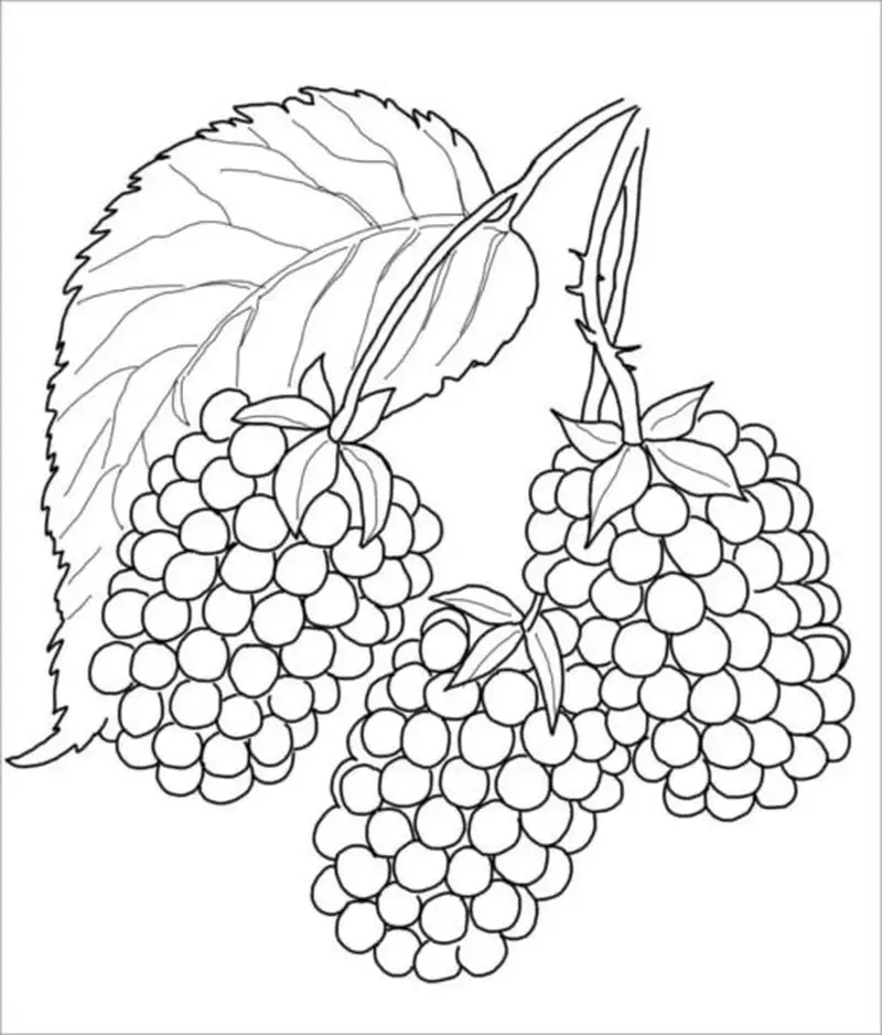 Khơi dậy sự sáng tạo qua tranh tô màu hình rau củ quả cho bé thú vị